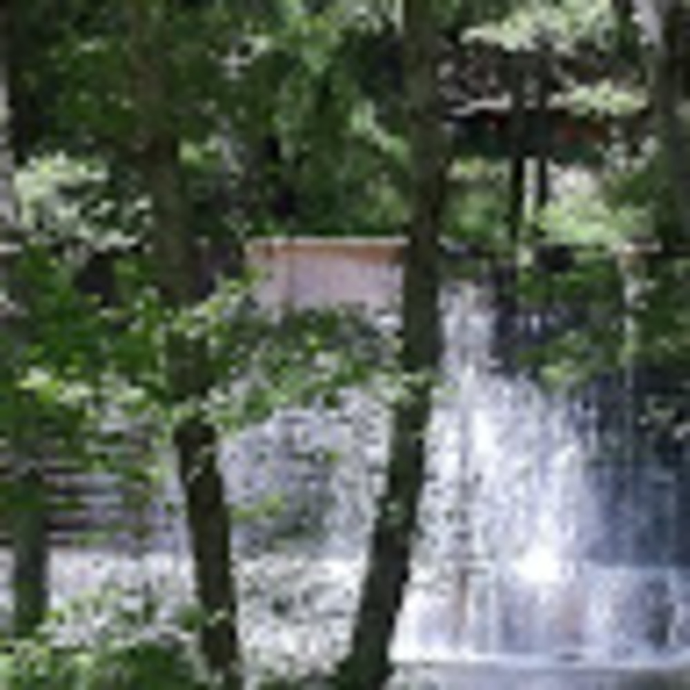 Meet your Posher, Jay